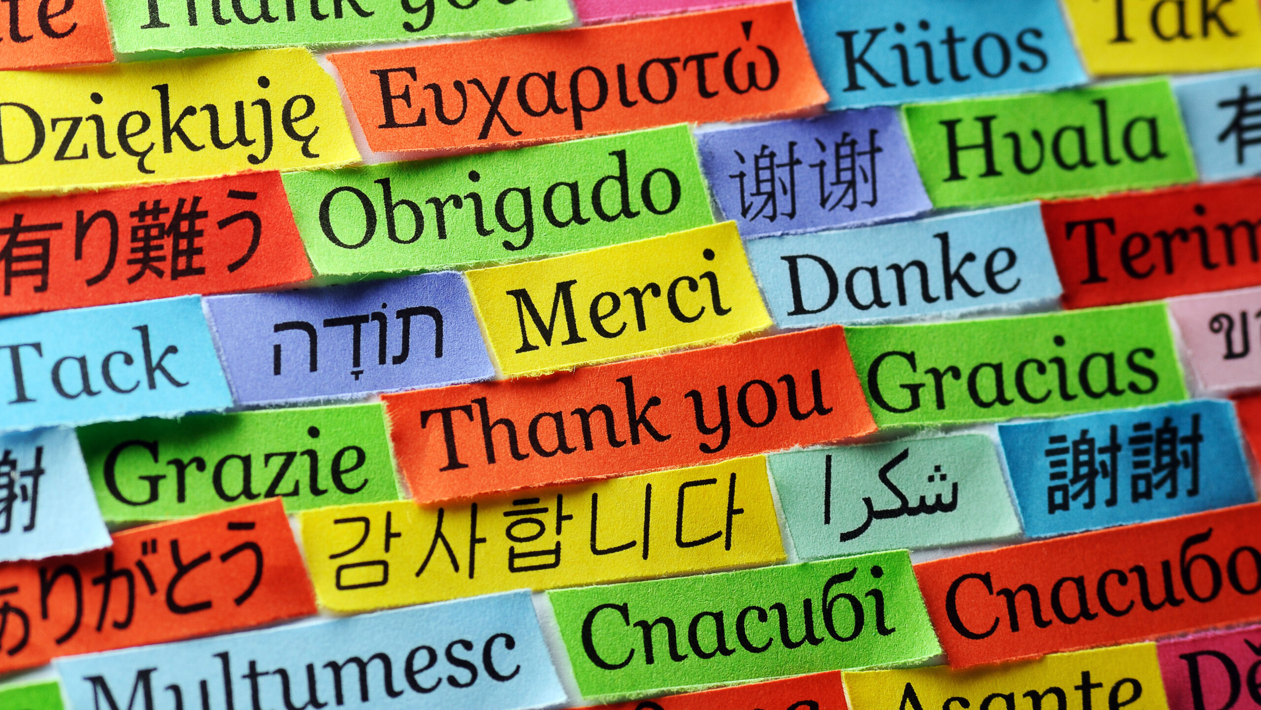 Post it notes of the words "Thank You" in different languages.